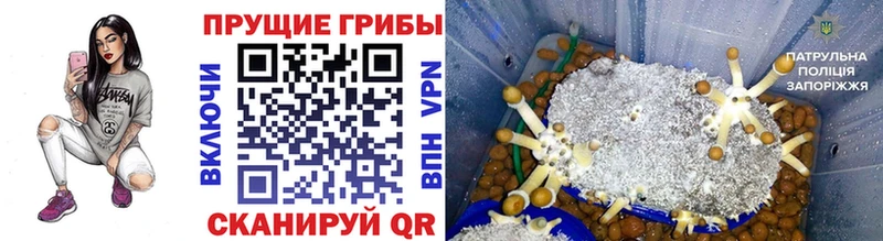 Галлюциногенные грибы Cubensis  купить закладку  гидра ССЫЛКА  Кремёнки 